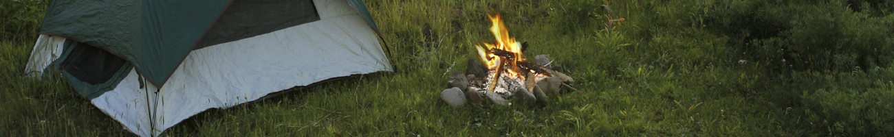 This is a generic image, it is NOT an image of Rillito River Rv Park go-arizona.com Travel Info