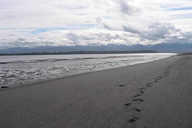 Washington's Magnificent Coastline