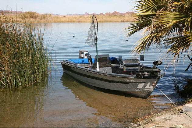 Fishing Colorado River