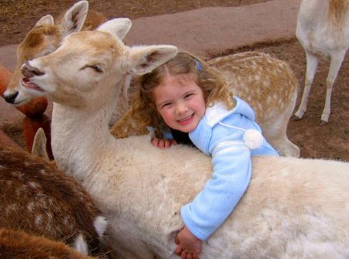 Grand Canyon Deer Farm Petting Zoo