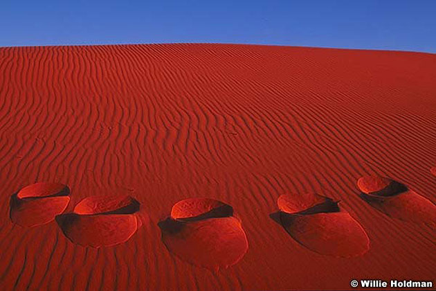 Coral Pink Dunes