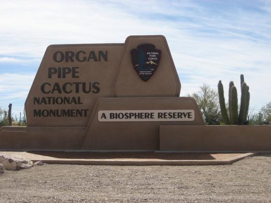 Organ Pipe Cactus National Monument