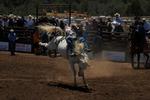 World's Oldest Continuous Rodeo